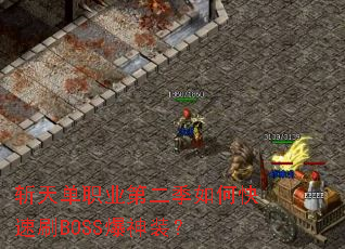 ն�쵥ְҵ�ڶ�����ο���ˢBOSS����װ��