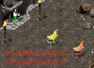 ������Ѵ�ɱ����Ĵ��ڣ������ȷʹ������ս����