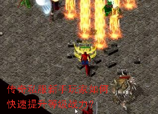 ����˽�����������ο��������ȼ�ս����