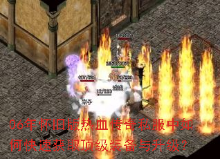 06�껳�ɰ���Ѫ����˽������ο��ٻ�ȡ����װ����������