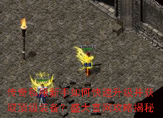 ����˽��������ο�����������ȡ����װ����ʢ��������Խ���