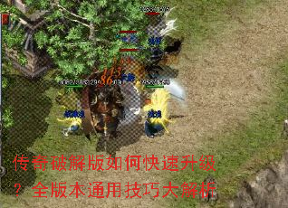 �����ƽ����ο���������ȫ�汾ͨ�ü��ɴ����