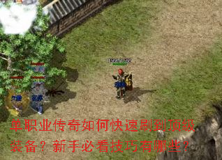 ��ְҵ������ο���ˢ������װ�������ֱؿ���������Щ��