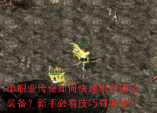 ��ְҵ������ο���ˢ������װ�������ֱؿ���������Щ��