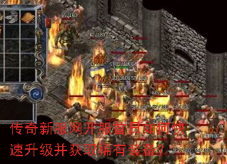 �����·�������������ο�����������ȡϡ��װ����