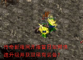 �����·�������������ο�����������ȡϡ��װ����