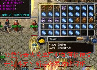 ���洫�������ְҵ��ο�������ս���������ֱؿ����Խ���