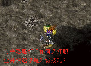 ����˽���������ѡ��ְҵ�����������������ɣ�