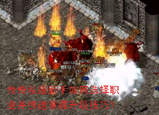 ����˽���������ѡ��ְҵ�����������������ɣ�