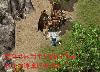 ����˽���������ѡ��ְҵ�����������������ɣ�