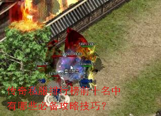 ����˽�����а�ǰʮ��������Щ�ر����Լ��ɣ�