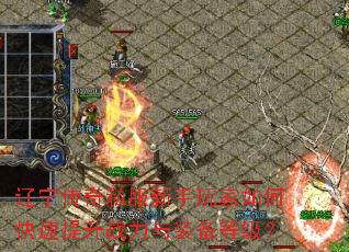 ��������˽�����������ο�������ս����װ���ȼ���