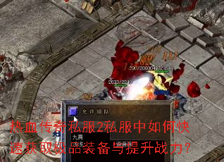 ��Ѫ����˽��2˽������ο��ٻ�ȡ��Ʒװ��������ս����