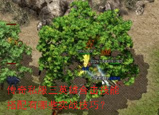 ����˽����Ӣ�ۺϻ����ܴ�������Щʵս���ɣ�