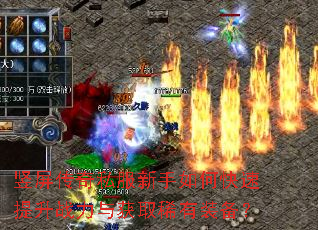 ��������˽��������ο�������ս�����ȡϡ��װ����