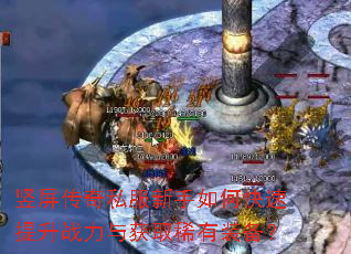 ��������˽��������ο�������ս�����ȡϡ��װ����