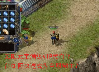 ����Ԫ������VIP����ƽ̨��ο��ٳ�Ϊȫ��������