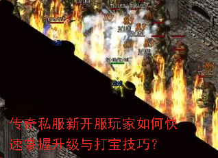 ����˽���¿��������ο�������������򱦼��ɣ�