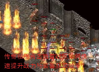 ����˽���ϻ�����ս����ο�������ս����װ����ȡЧ�ʣ�