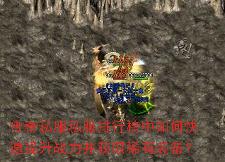 ����˽��˽�����а�����ο�������ս������ȡϡ��װ����