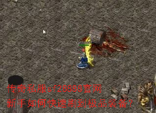 ����˽��sf28888����������ο���ˢ����Ʒװ����