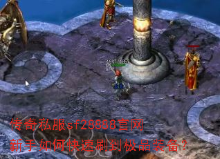 ����˽��sf28888����������ο���ˢ����Ʒװ����