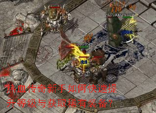 ��Ѫ����������ο��������ȼ����ȡϡ��װ����