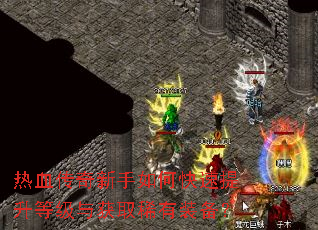 ��Ѫ����������ο��������ȼ����ȡϡ��װ����