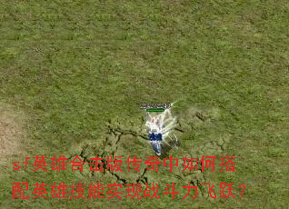 sfӢ�ۺϻ��洫������δ���Ӣ�ۼ���ʵ��ս������Ծ��