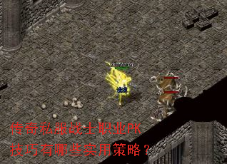 ����˽��սʿְҵPK��������Щʵ�ò��ԣ�