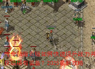 ����˽��ҳ����ο�������ս������ȡϡ��װ����2025���¹���