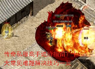 ����˽�����ֽ���ָ�ϣ�ʮ�󳣼�����������һ��