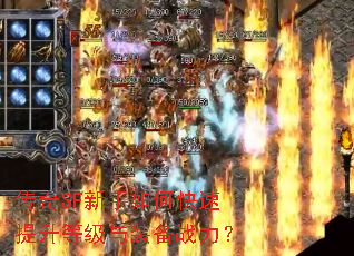 ����SF������ο��������ȼ���װ��ս����