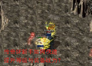 ����SF������ο��������ȼ���װ��ս����