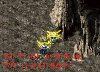 ��������˽������ο��ٻ�ȡϡ��װ��������ս����