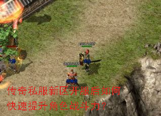 ����˽��������������ο���������ɫս������