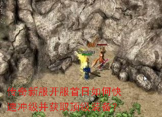 �����·�����������ο��ٳ弶����ȡ����װ����