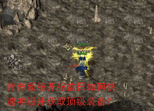 �����·�����������ο��ٳ弶����ȡ����װ����