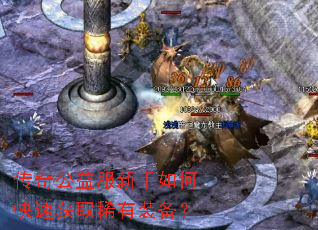 ���湫���������ο��ٻ�ȡϡ��װ����