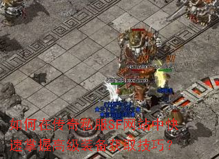 ����ڴ���˽��SF��վ�п������ո߼�װ����ȡ���ɣ�