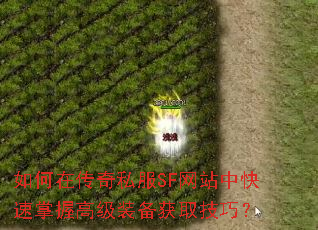 ����ڴ���˽��SF��վ�п������ո߼�װ����ȡ���ɣ�