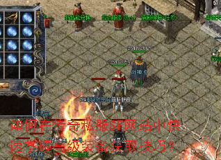 ����ڴ���˽��SF��վ�п������ո߼�װ����ȡ���ɣ�