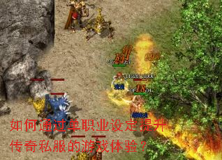 ���ͨ����ְҵ�趨��������˽������Ϸ���飿