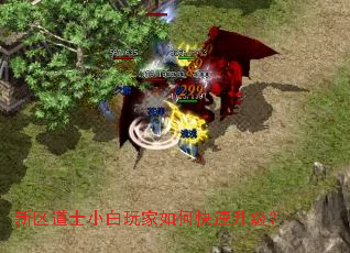 ������ʿС�������ο���������