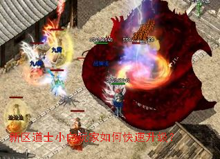 ������ʿС�������ο���������