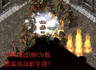 ���ͨ��DBCΪ���ݿ��������ֶΣ�