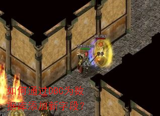 ���ͨ��DBCΪ���ݿ��������ֶΣ�