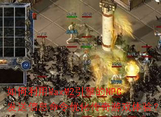 �������MaxM2�����NPC������Ϣ�����Ż�������Ϸ���飿