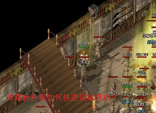 传奇新开服如何快速烧猪升级? 传奇新开服如何快速烧猪升级?