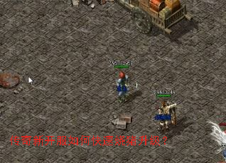 �����¿�����ο�������������